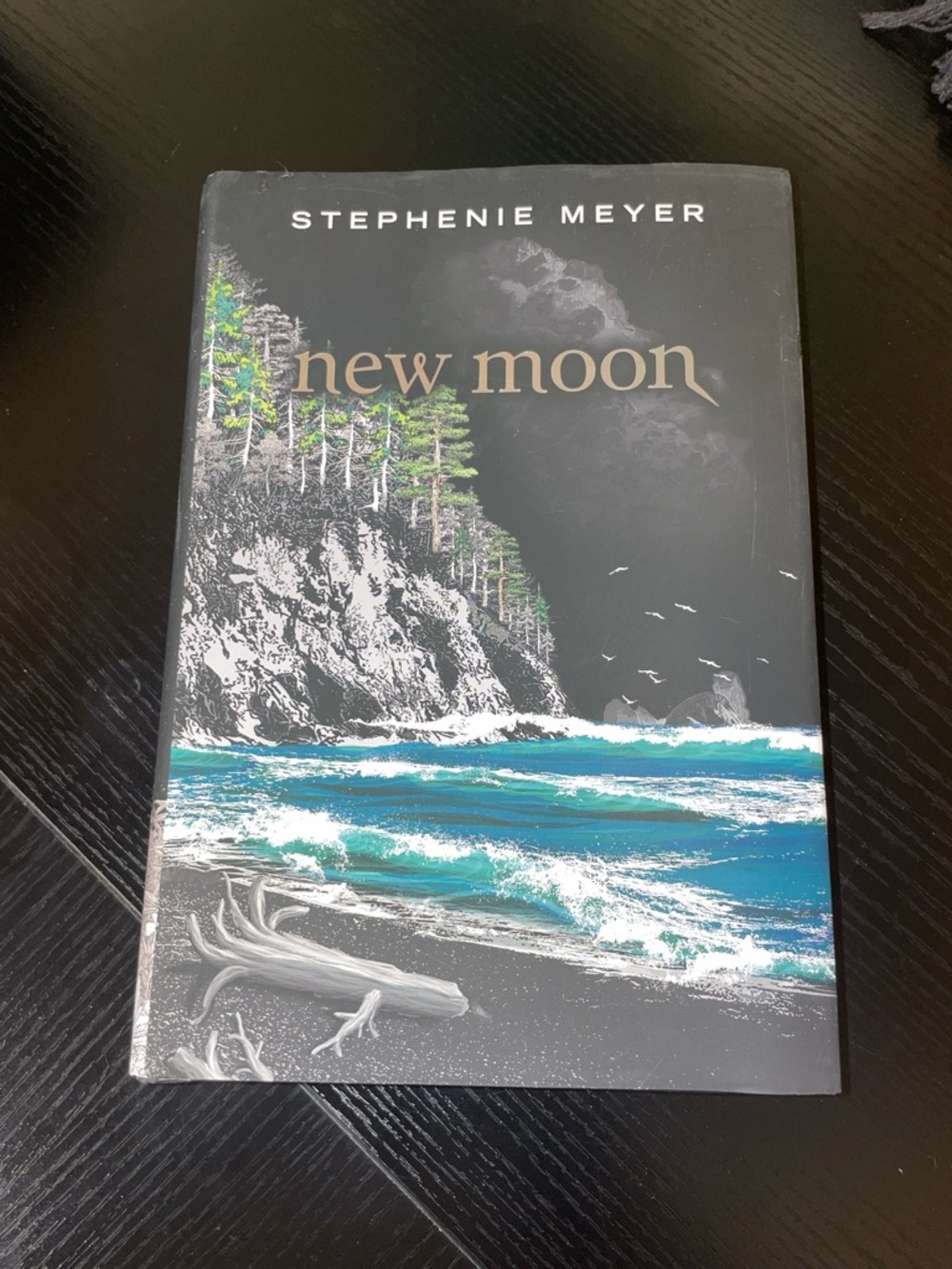 Stephenie Meyer "New Moon" Hardcover Book - Black & Teal Cover